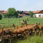 Giglerhof バート・ビルンバッハ
