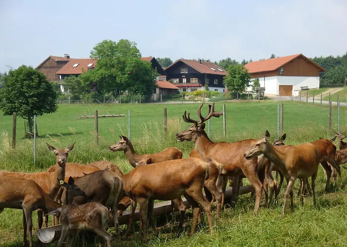Giglerhof Bad Birnbach
